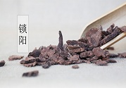大雪節(jié)氣中藥鎖陽能補陽益陰