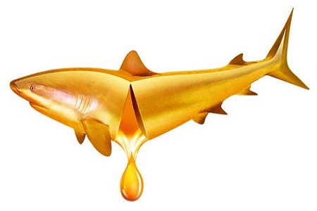 孕期怎么補(bǔ)充營養(yǎng)?魚油可幫助