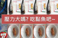 壓力大嗎?營養(yǎng)好推薦吃點(diǎn)魚吧