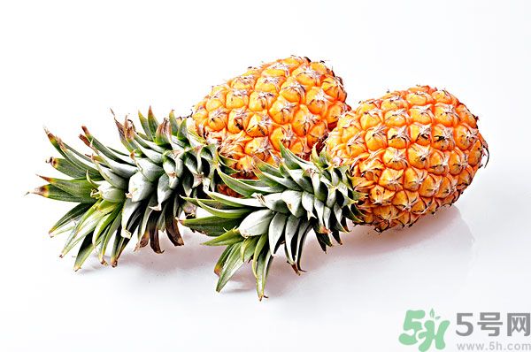 芒果和菠蘿能一起吃嗎？芒果和菠蘿一起吃好嗎？