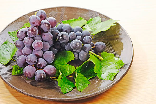 膽結(jié)石能吃葡萄嗎？膽結(jié)石患者吃葡萄好不好？