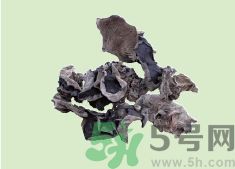高血壓可以吃黑木耳嗎？木耳降血壓的做法有哪些？