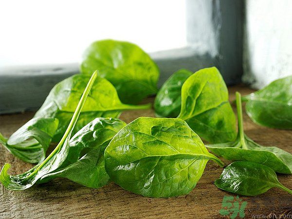 缺鐵有什么癥狀和危害？含鐵高的食物有哪些？