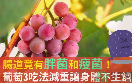 吃葡萄可以不吐葡萄籽嗎？吃葡萄皮好不好？