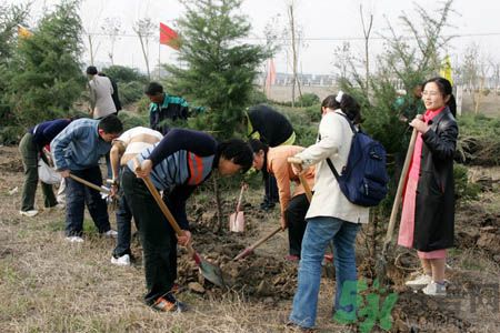 植樹節(jié)是幾月幾日？植樹節(jié)可以做些什么活動(dòng)？