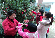 植樹節(jié)是幾月幾日？植樹節(jié)可以做些什么活動？