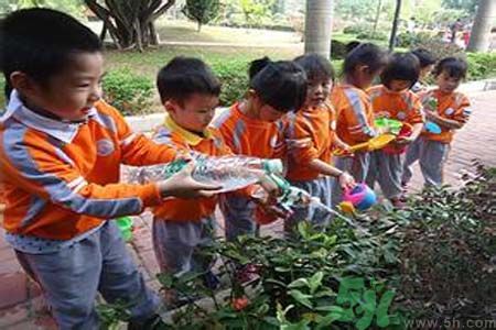 如何提高植樹(shù)的成活率？植樹(shù)節(jié)種樹(shù)要注意哪些細(xì)節(jié)？