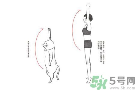 電腦族肩膀痛疼怎么辦？肩膀痛疼怎么解決？