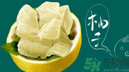 多吃柚子能減肥嗎？怎樣吃柚子才健康？