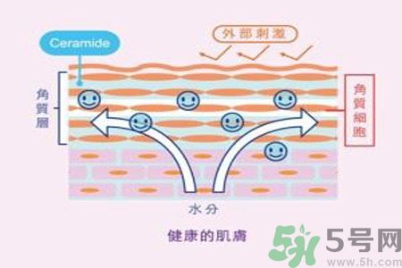 皮膚炎癢是怎么回事？皮膚炎發(fā)作怎么治療？