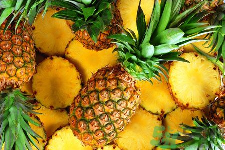 菠蘿和鳳梨有什么區(qū)別？菠蘿和鳳梨誰更好吃？