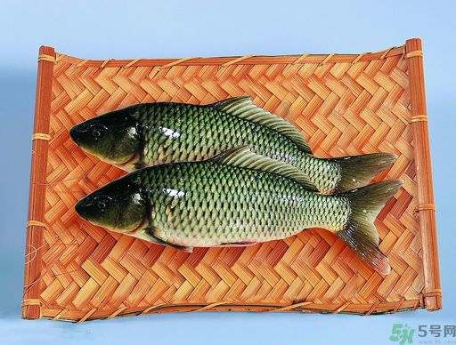孕婦吃什么魚對胎兒好？孕婦吃什么魚最好？