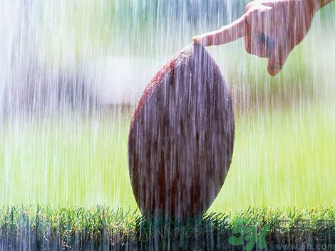 濕氣重的癥狀？怎么去除體內(nèi)的濕氣？