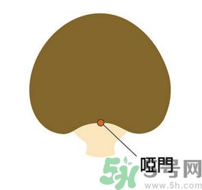 臉總是腫腫的怎么辦？臉有點(diǎn)浮腫怎么消腫？