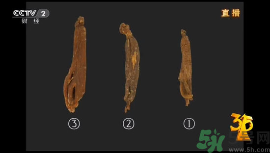 紅參怎么挑選？紅參摻糖怎么辯解？