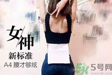 B5腰圍比A4腰圍更好？B5腰是什么意思？