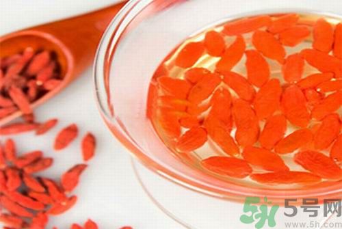 枸杞泡水有什么害處？枸杞泡水喝有什么好處？