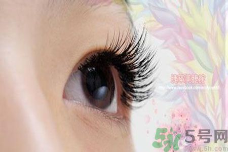 種睫毛的危害有哪些？種睫毛能保持多久？