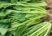 吃菠菜能補(bǔ)鐵嗎？吃蔬菜鐵效果好嗎？