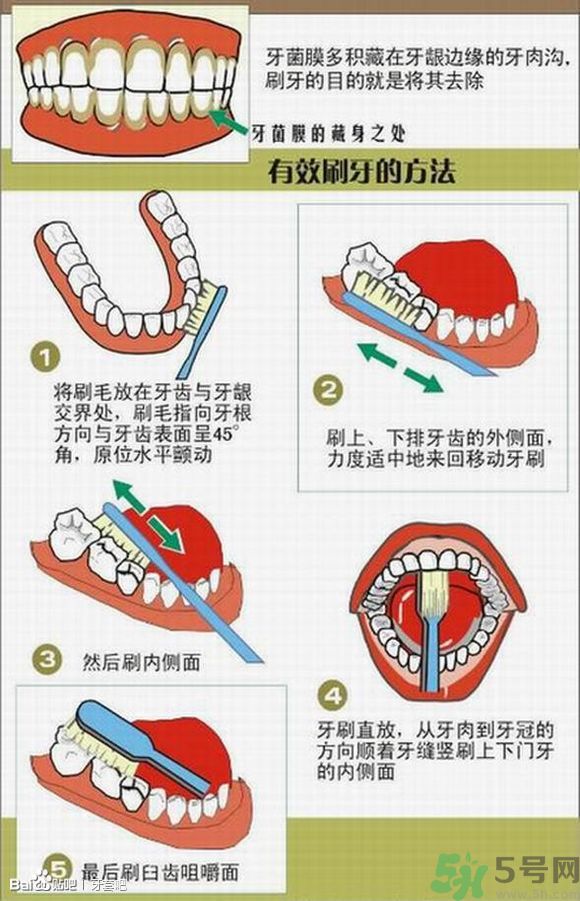 18歲還能戴牙套嗎？戴牙套真的能瘦臉改變臉型嗎？