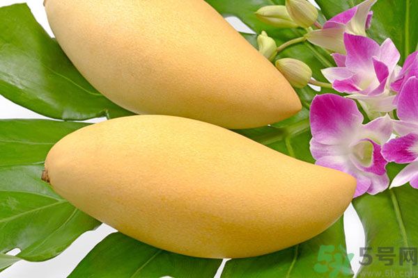 吃芒果嘴唇過(guò)敏怎么辦？為什么吃了芒果后嘴巴癢？