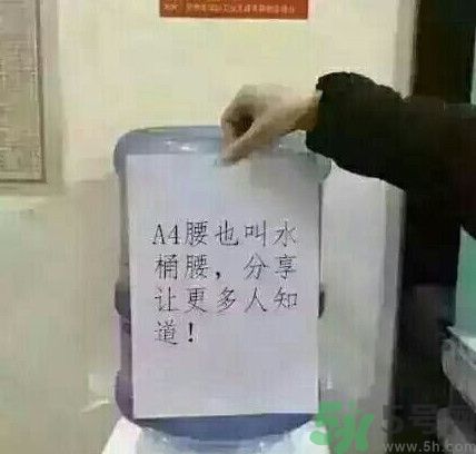 a4腰也叫水桶腰是什么意思？a4腰也叫水桶腰圖片？ 