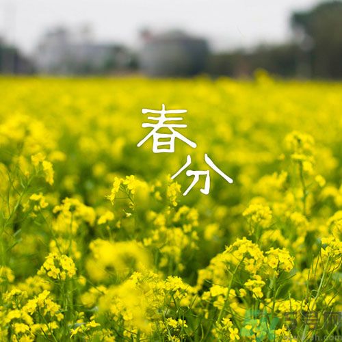 春分時(shí)養(yǎng)生要注意什么？春分要預(yù)防哪些疾?。?></p><h3>春分到了養(yǎng)生要仔細(xì)起來</h3><p>春分過后，春陽之氣增加的非常的快，也伴隨著人體的血液和激素的分泌都有明顯的增強(qiáng)之意，情緒也是波動(dòng)的很大，而且春分氣溫也是變化無常，所以就會(huì)很容易造成人體的陰陽失衡，直接的導(dǎo)致疾病的發(fā)生，例如上高血壓、心臟病以及眩暈、失眠等癥的出現(xiàn)。此外，春分之后雨水的增多導(dǎo)致濕度增大，很多身體不好的人就很容易舊疾復(fù)發(fā)。又因?yàn)榇禾旒?xì)菌比較多，很多疾病傳染的很快，因此這個(gè)時(shí)期一定要特別的注意養(yǎng)生。</p><h4>春分須注意居室衛(wèi)生</h4><p>春分時(shí)節(jié)，暖濕氣流活躍，冷空氣活動(dòng)也比較頻繁。因此，陰雨天氣較多。將居室安排得舒適而有序，對身心的健康很有益處。比如將客廳布置得溫和舒暢，同室外的陰雨天氣形成反差，又同風(fēng)和日麗的天氣相和諧;將臥室布置得溫馨適意，室內(nèi)的溫度保持在14～16度之間，會(huì)給人一種溫柔靜謐的感覺;將書房布置得明亮溫和，空氣清新。但又不濕氣太重;飯廳注重色彩搭配，會(huì)喚起人的食欲;將陽臺(tái)布置成一個(gè)“小花園”，鮮花絢麗，清香四溢，空氣清新，悅?cè)诵哪?。這種營造出來的小氣候既可以助人解除疲勞，又能使人心安神怡。</p><p>環(huán)境衛(wèi)生不僅僅指室內(nèi)衛(wèi)生，也包括室外的衛(wèi)生，不管是室內(nèi)還是室外，一定要把不起眼的角落和陰暗死角的污垢清掃干凈。可以經(jīng)常噴灑一些殺蟲劑殺死病菌;居室里保持干凈和空氣流通，餐具茶具天天洗，餐前最好是用開水將碗筷沖洗一下。廚房、衛(wèi)生間的異味要排除掉，減少空氣污染。另外，調(diào)節(jié)好溫濕度，室內(nèi)擺放物品注意溫濕度的調(diào)配。</p><h4>春分每天三次曬太陽</h4><p>在一年里，春季是最重要最需要養(yǎng)生的季節(jié)，所謂“春夏養(yǎng)陽”。春夏時(shí)節(jié)正是陽長陰消的階段，秋冬則是陰長陽消的季節(jié)，所以順應(yīng)自然規(guī)律，春夏就應(yīng)該養(yǎng)陽。陽光對人體的免疫系統(tǒng)和大腦是有很大的好處的。一旦人體缺乏了陽光的照射，時(shí)間一久就會(huì)出現(xiàn)精神壓抑以及生機(jī)等現(xiàn)象。所以春季多曬曬太陽是有很大的好處的，對身體是有很大的健康的。但是曬太陽也是有很大的訣竅的奧，一起看看。</p><p style=