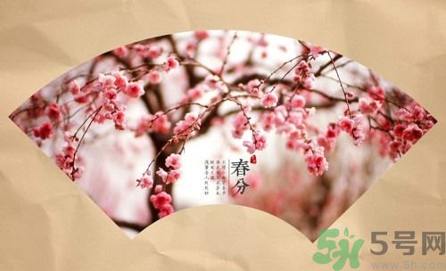 春分時(shí)養(yǎng)生要注意什么？春分要預(yù)防哪些疾??？