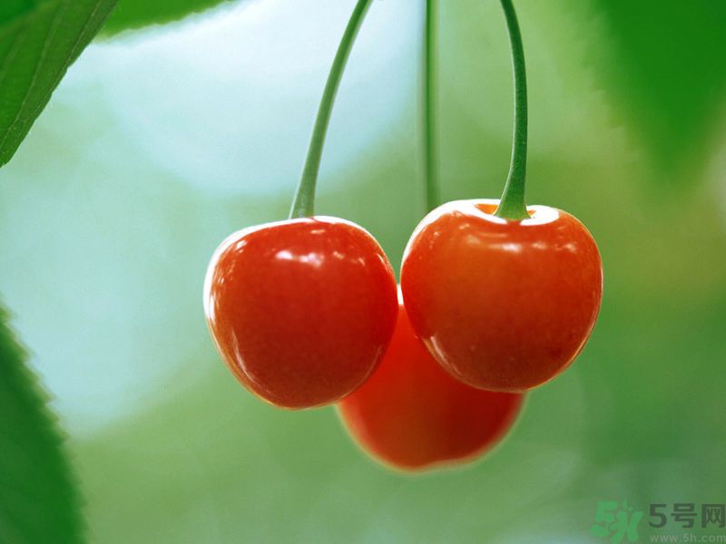 春分時節(jié)養(yǎng)生吃什么水果好？那些水果可以春天吃？