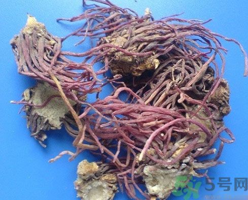 紫菀的功效和作用是什么？紫菀的用法用量是多少？