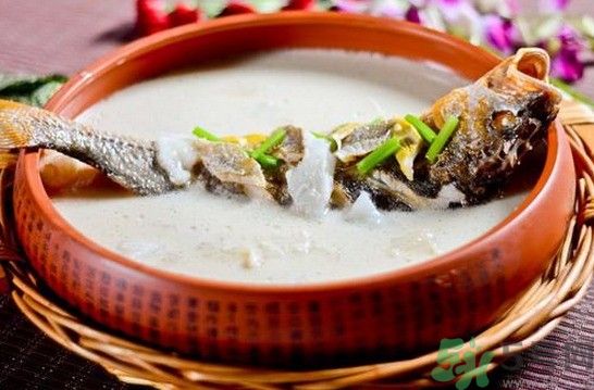 煲魚湯怎么去腥？家常魚湯做法有哪些？