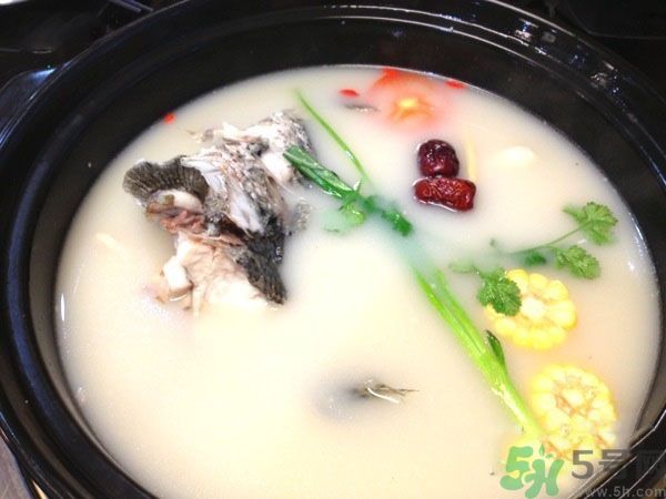 煲魚湯怎么去腥？家常魚湯做法有哪些？