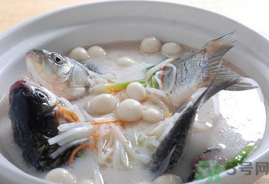 煲魚湯怎么去腥？家常魚湯做法有哪些？