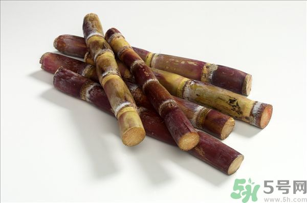 清明節(jié)能吃甘蔗嗎？清明節(jié)吃甘蔗會(huì)中毒嗎？