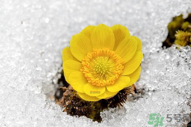清明節(jié)有哪些習俗？清明節(jié)習俗的來源？