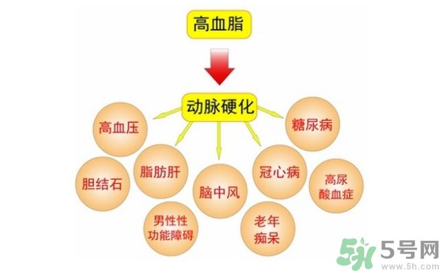 吃什么可以降血脂？高血脂吃什么好？