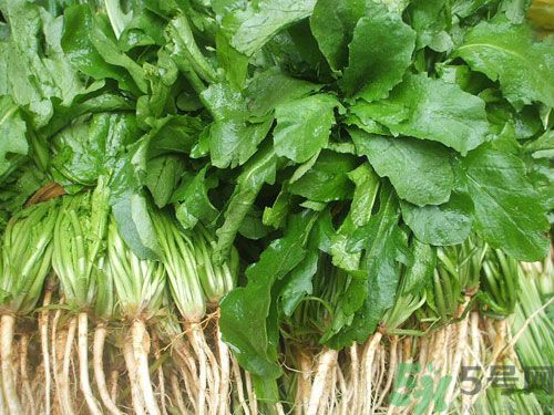薺菜是發(fā)物嗎？薺菜是不是發(fā)物？