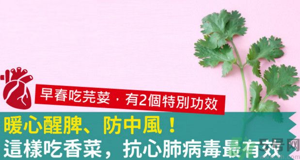 春天吃香菜好嗎？春天吃香菜有什么好處？