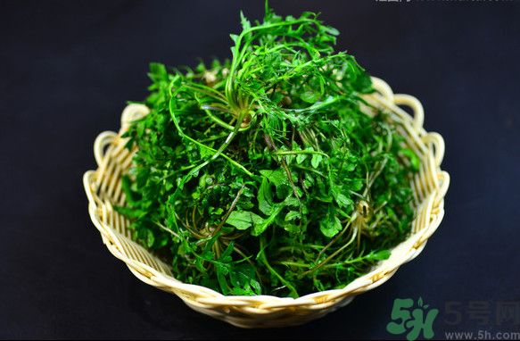 薺菜根能吃嗎？薺菜要去根吃嗎？