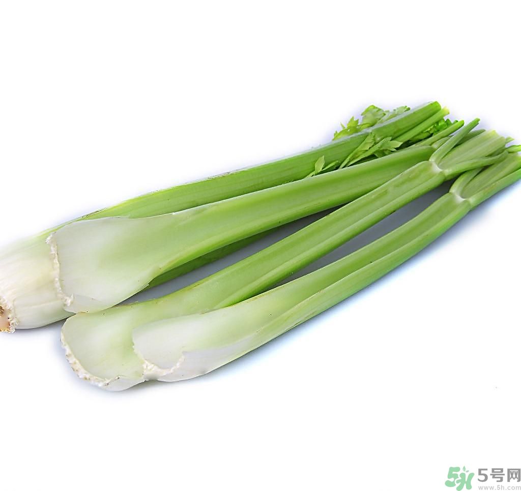芹菜可以減肥嗎？芹菜有什么功效？
