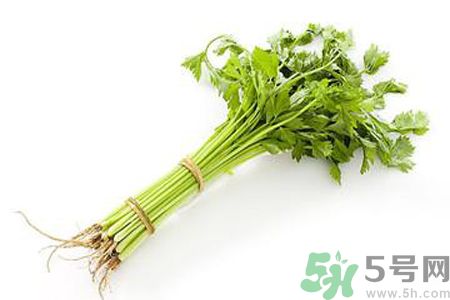 芹菜可以減肥嗎？芹菜有什么功效？
