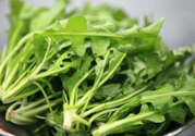 薺菜為什么要焯水？薺菜要用開水燙嗎？
