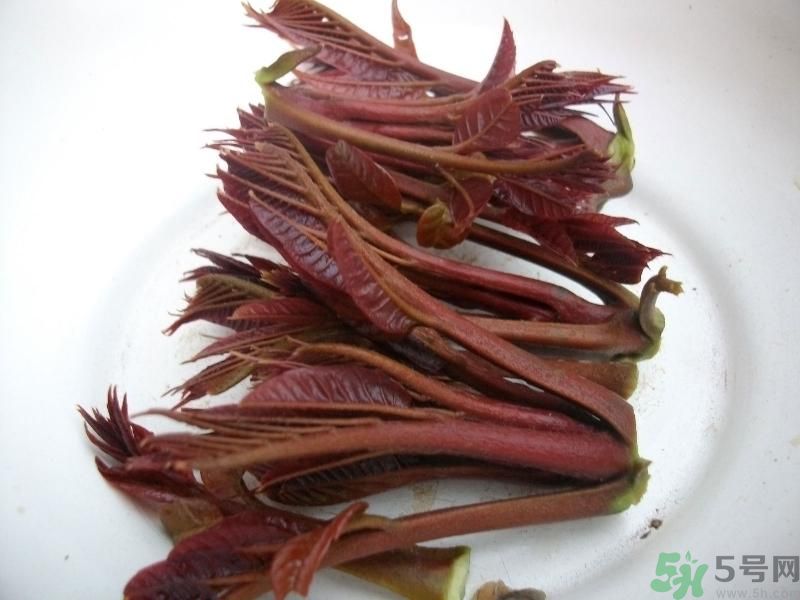 香椿好吃嗎？香椿可以做菜嗎？