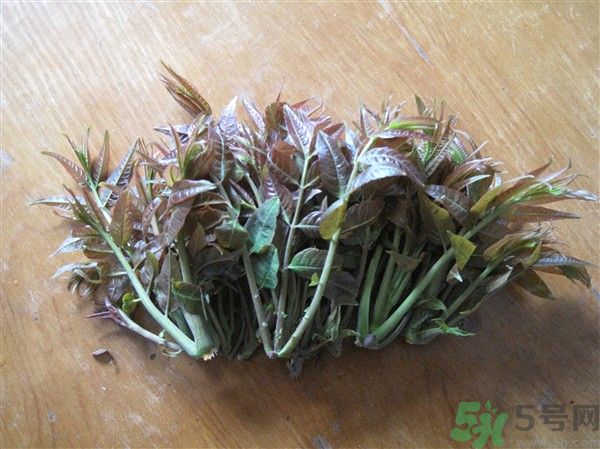 香椿怎么吃才安全？吃香椿的最佳時間是什么時候？