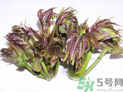 吃香椿有什么好處？香椿可以預(yù)防疾病嗎？