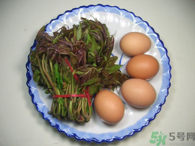 怎么挑選香椿呢？挑選香椿的小竅門？