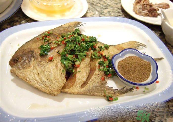 怎么挑選魚？挑魚的技巧有哪些？