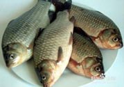 怎么挑選魚？挑魚的技巧有哪些？