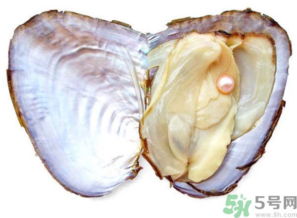 河蚌什么時候吃最好？吃河蚌有什么好處？