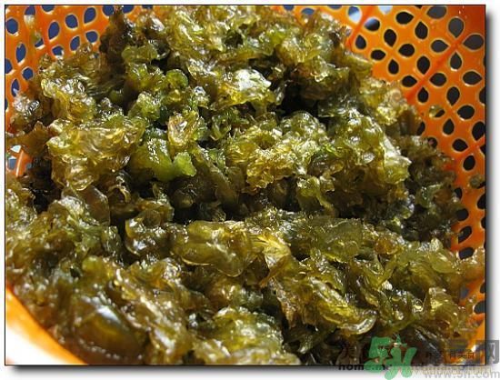 地皮菜怎么清洗干凈？怎樣洗地皮菜？
